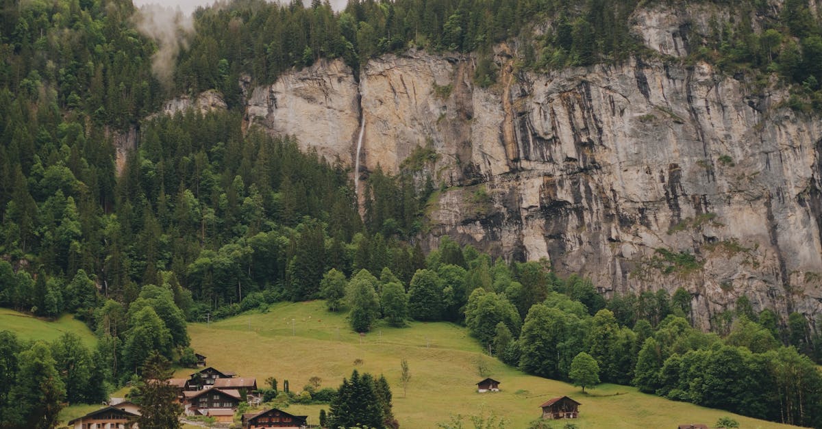 wordpress bern