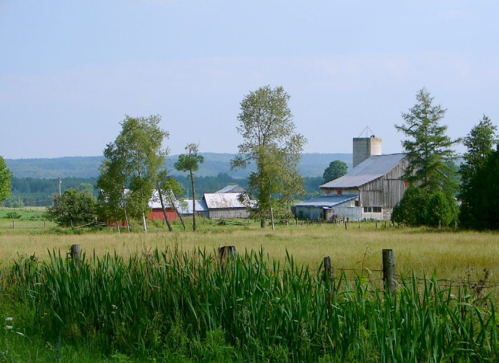 WordPress Help Oro-Medonte Canada