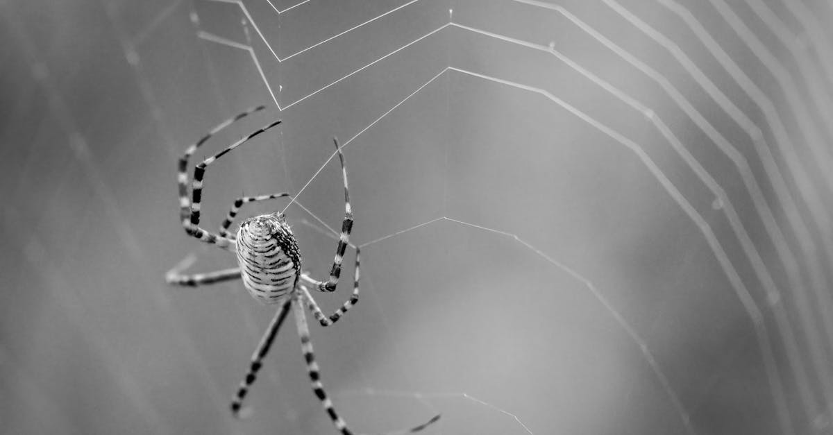 wordpress web design birmingham
