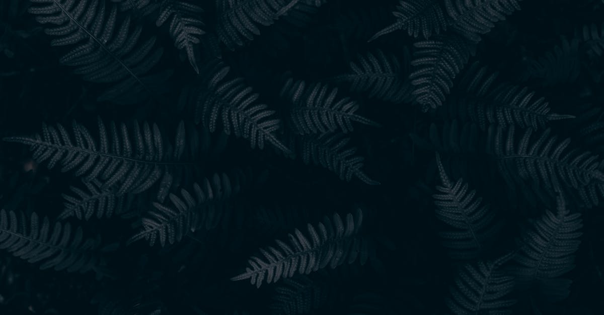 move from squarespace to wordpress