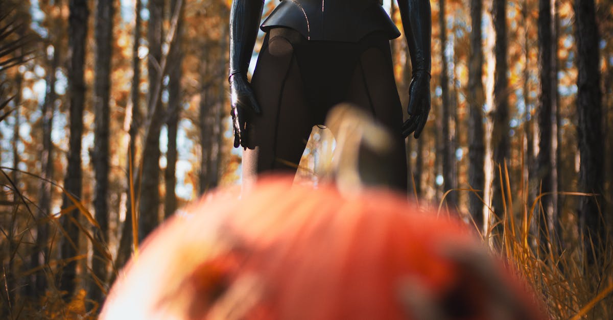 what is headless wordpress