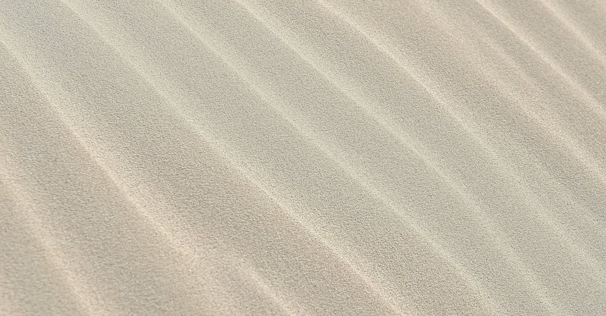 wordpress website updates