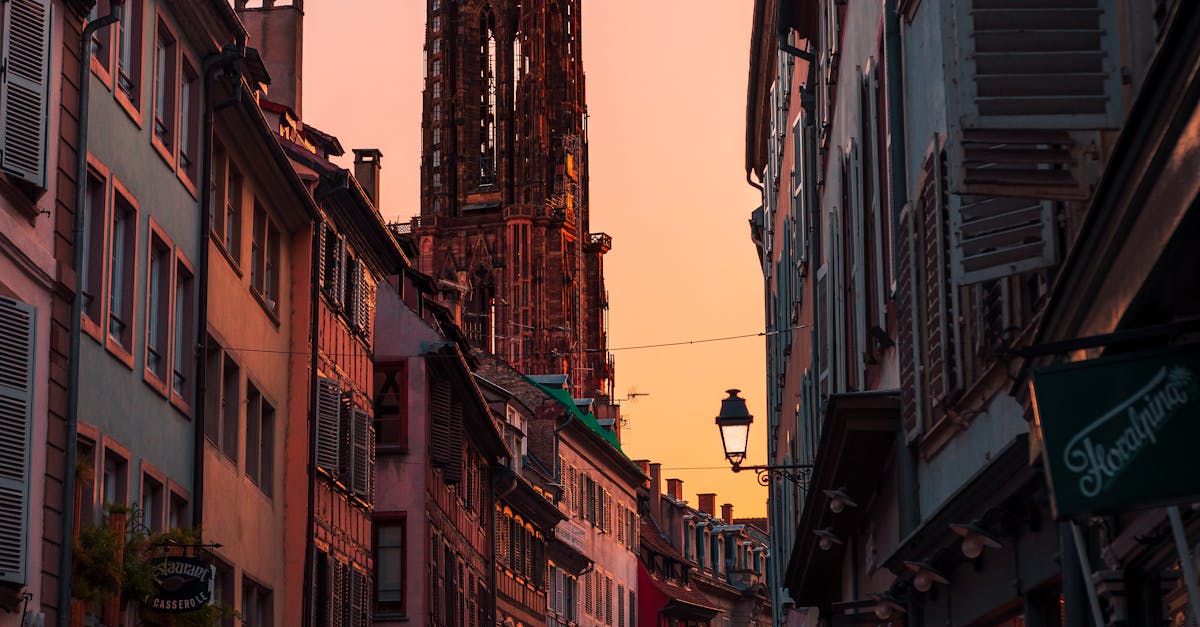 wordpress freiburg