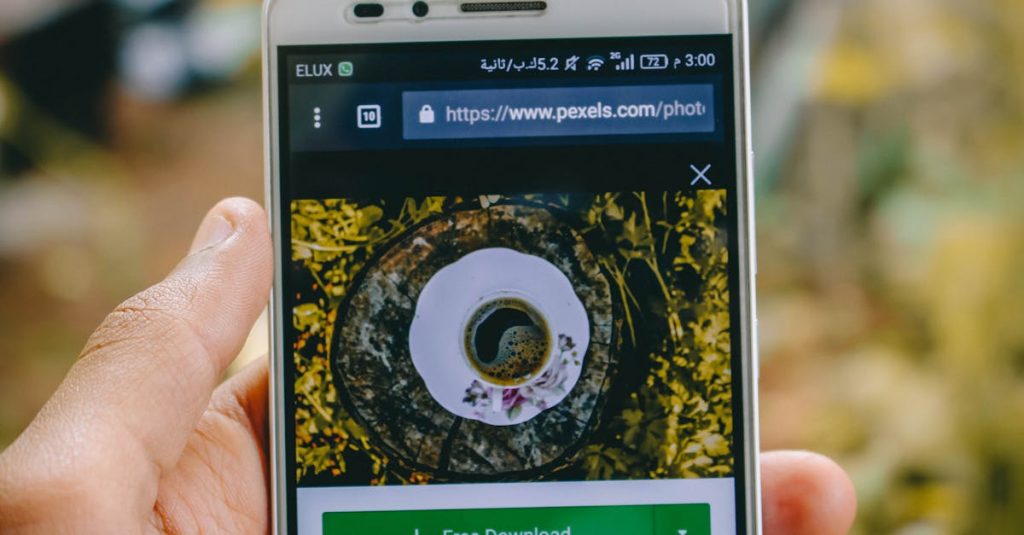 wordpress rss url