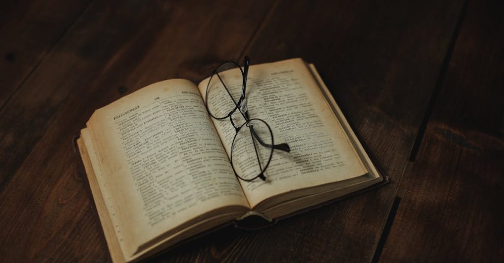 wordpress glossary plugin
