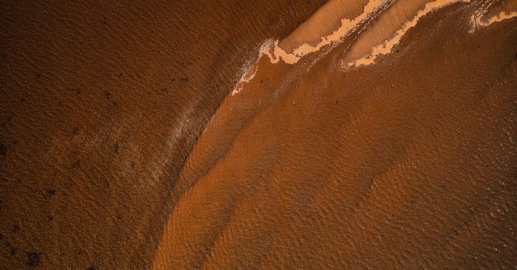 paddle for wordpress