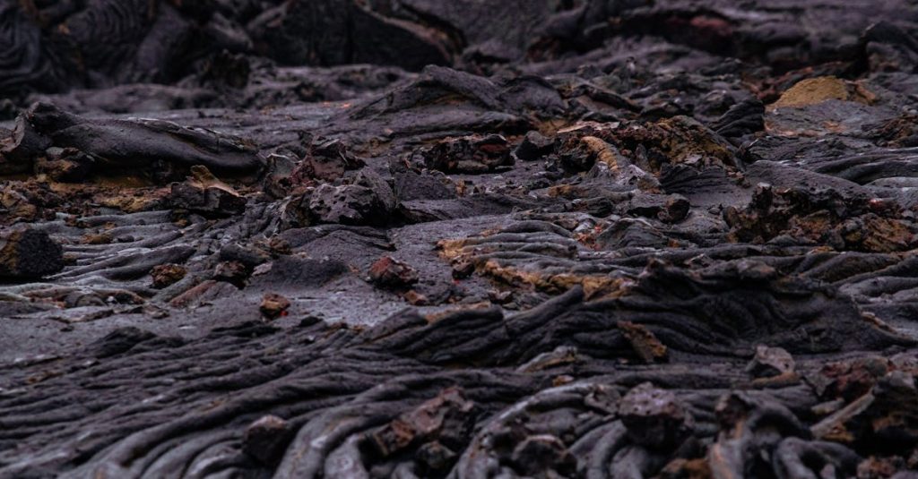 harden wordpress