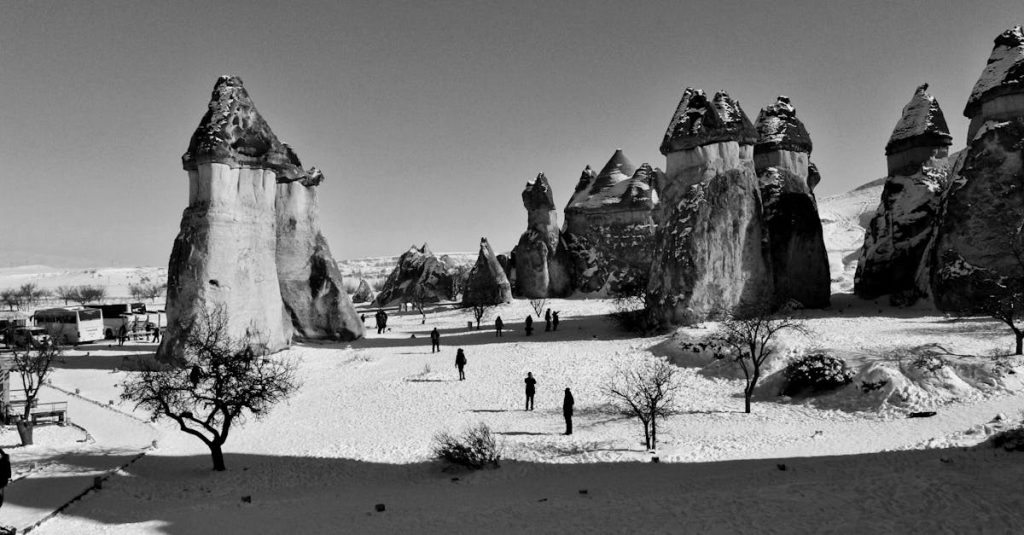 wordpress google optimierung