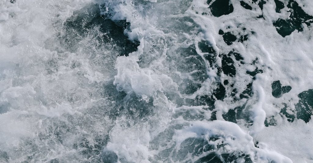 react vs wordpress