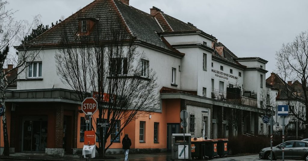 wordpress programmierer wien