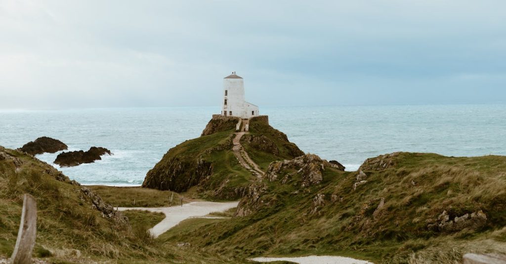 refonte site wordpress