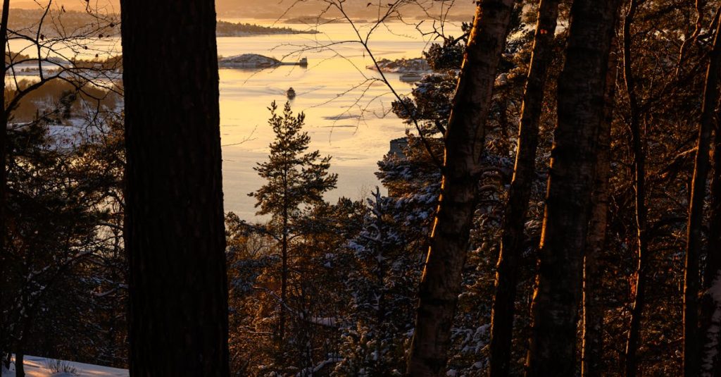 kurs wordpress oslo