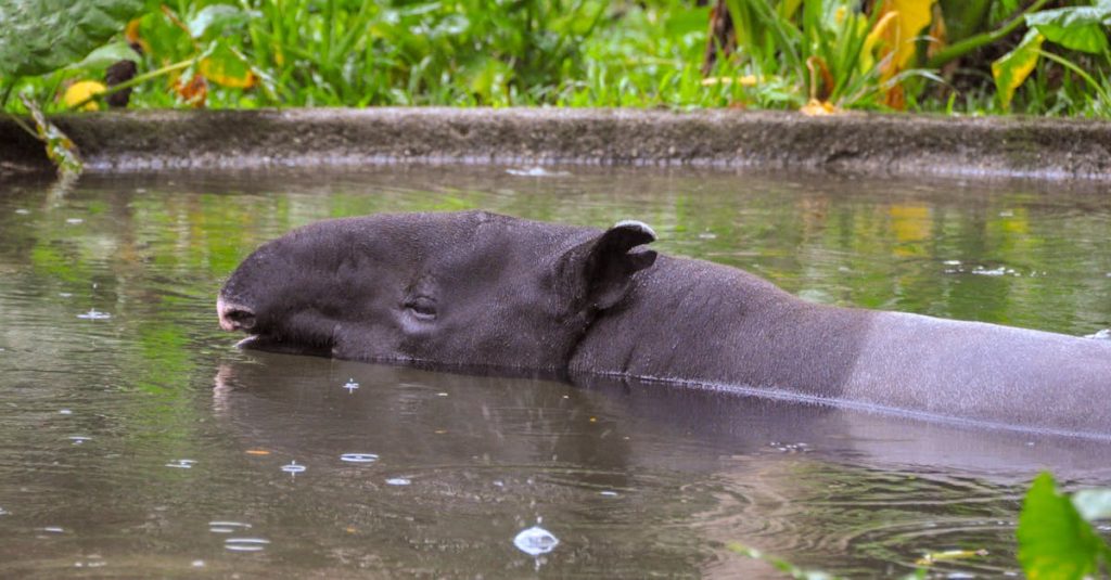 comment utiliser wordpress