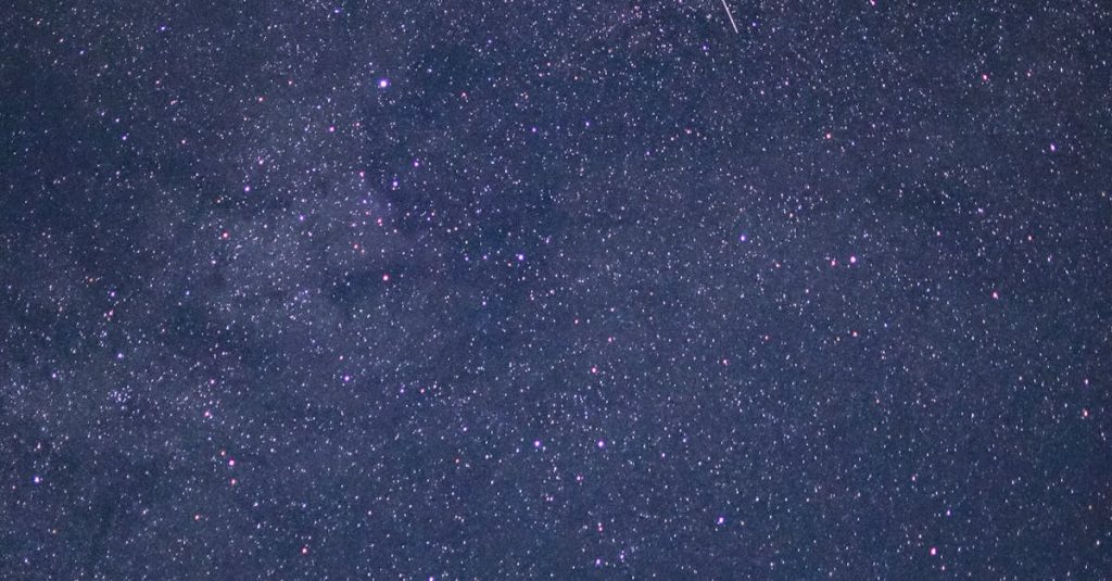 wordpress cluster