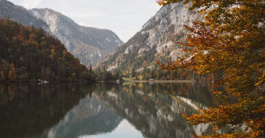 wordpress hosting österreich