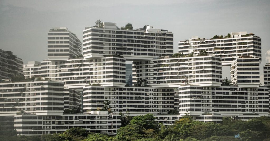 freelance wordpress developer singapore