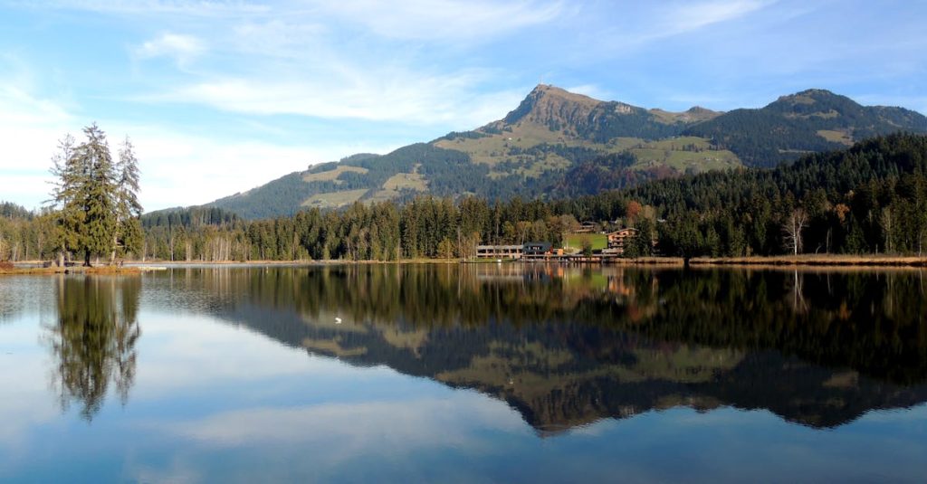 wordpress agentur tirol