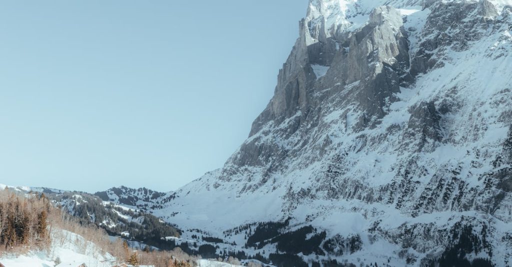 wordpress agentur bern