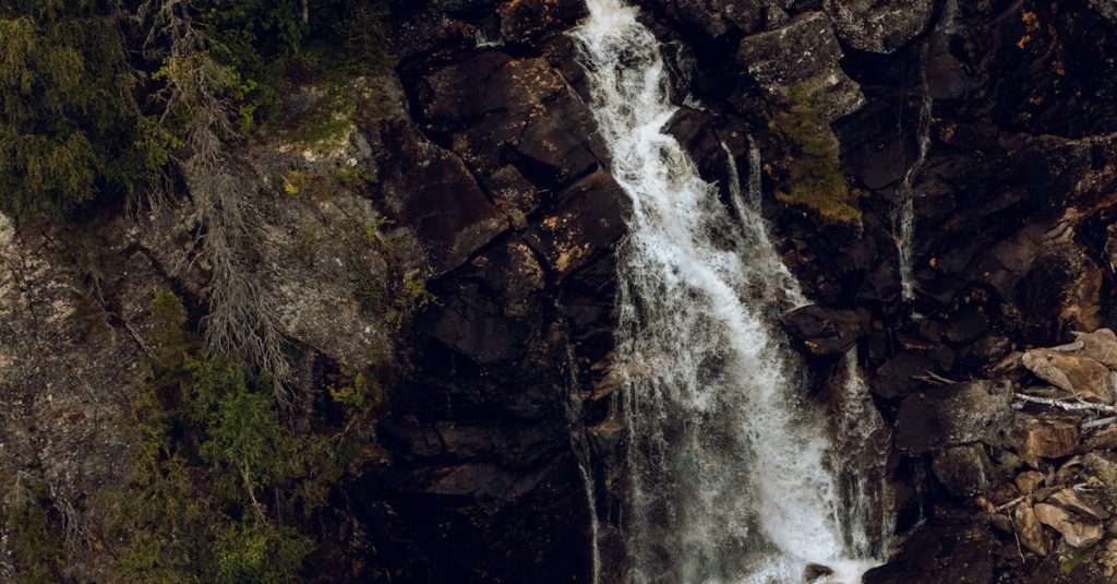 best wordpress themes for travel blogs