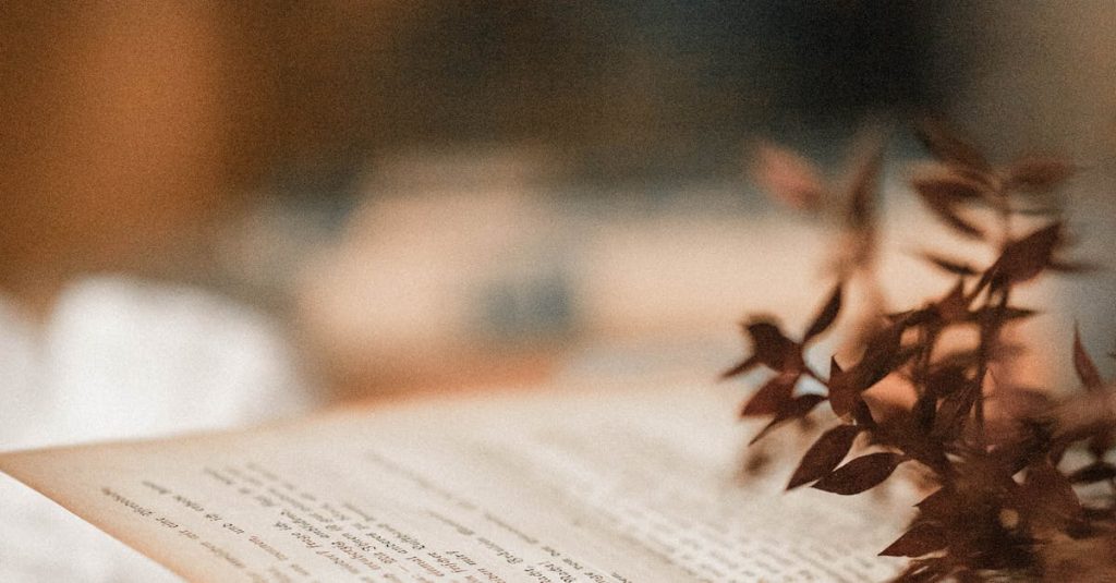 wordpress in depth read online