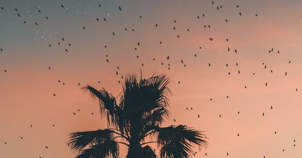 best premium wordpress themes for blogs