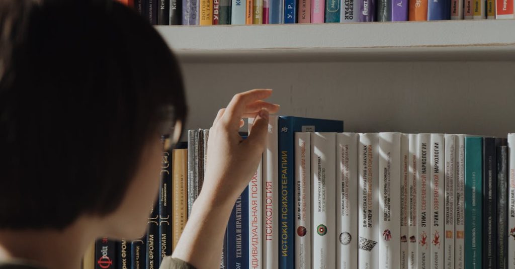 wordpress site search