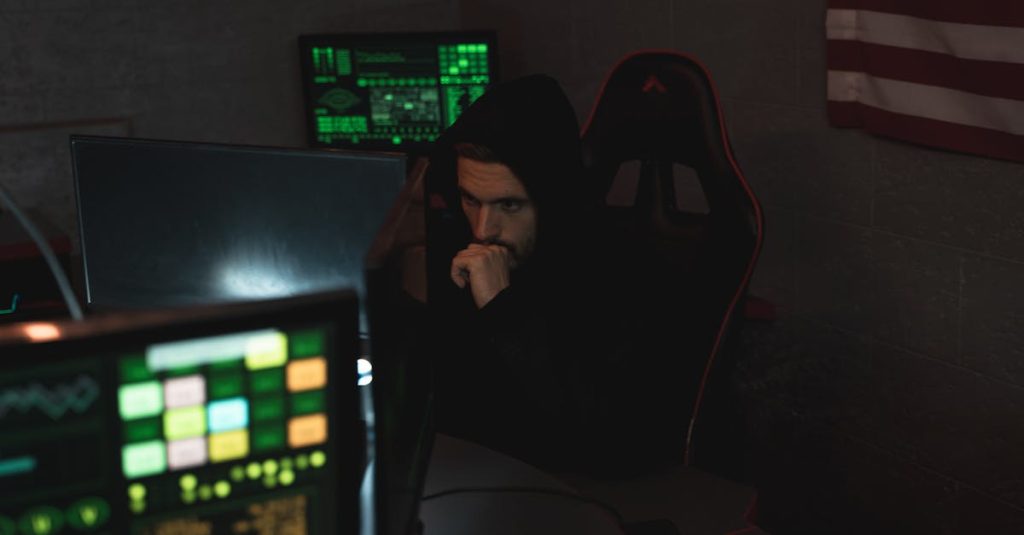 wordpress no code