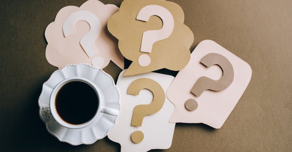 wordpress query