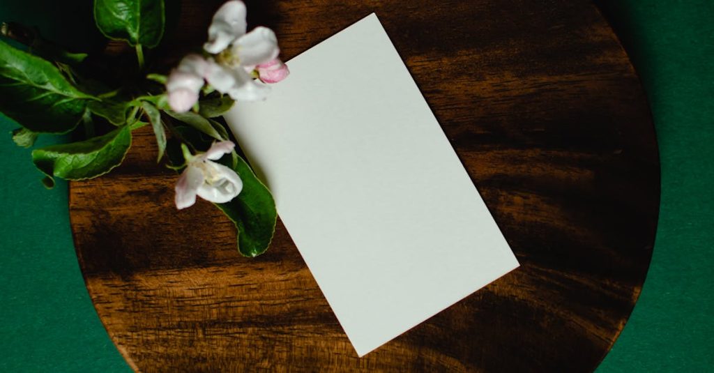 job board wordpress theme