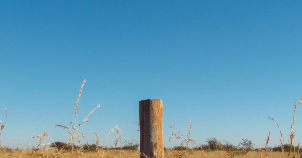 wordpress post vs page