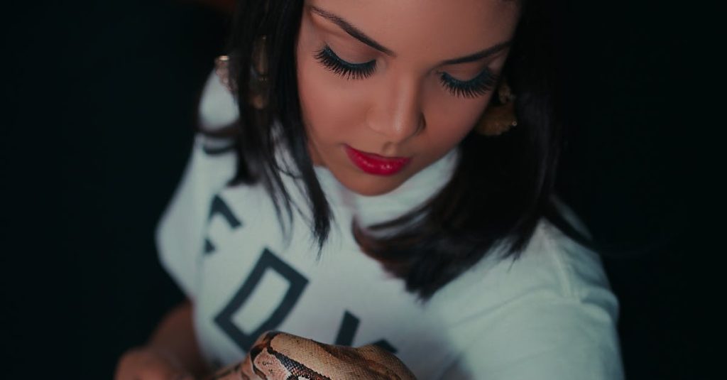 wordpress python