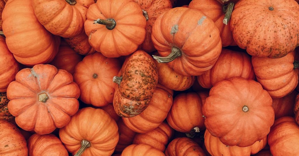 wordpress food blog themes